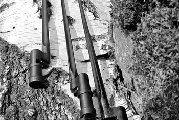 Bagnet Mosin 91/30