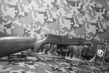 Karabinek Sportowy Samopowtarzalny Kal.22