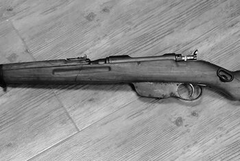 Steyr M95