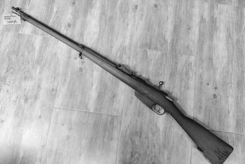 Carcano Terni #556